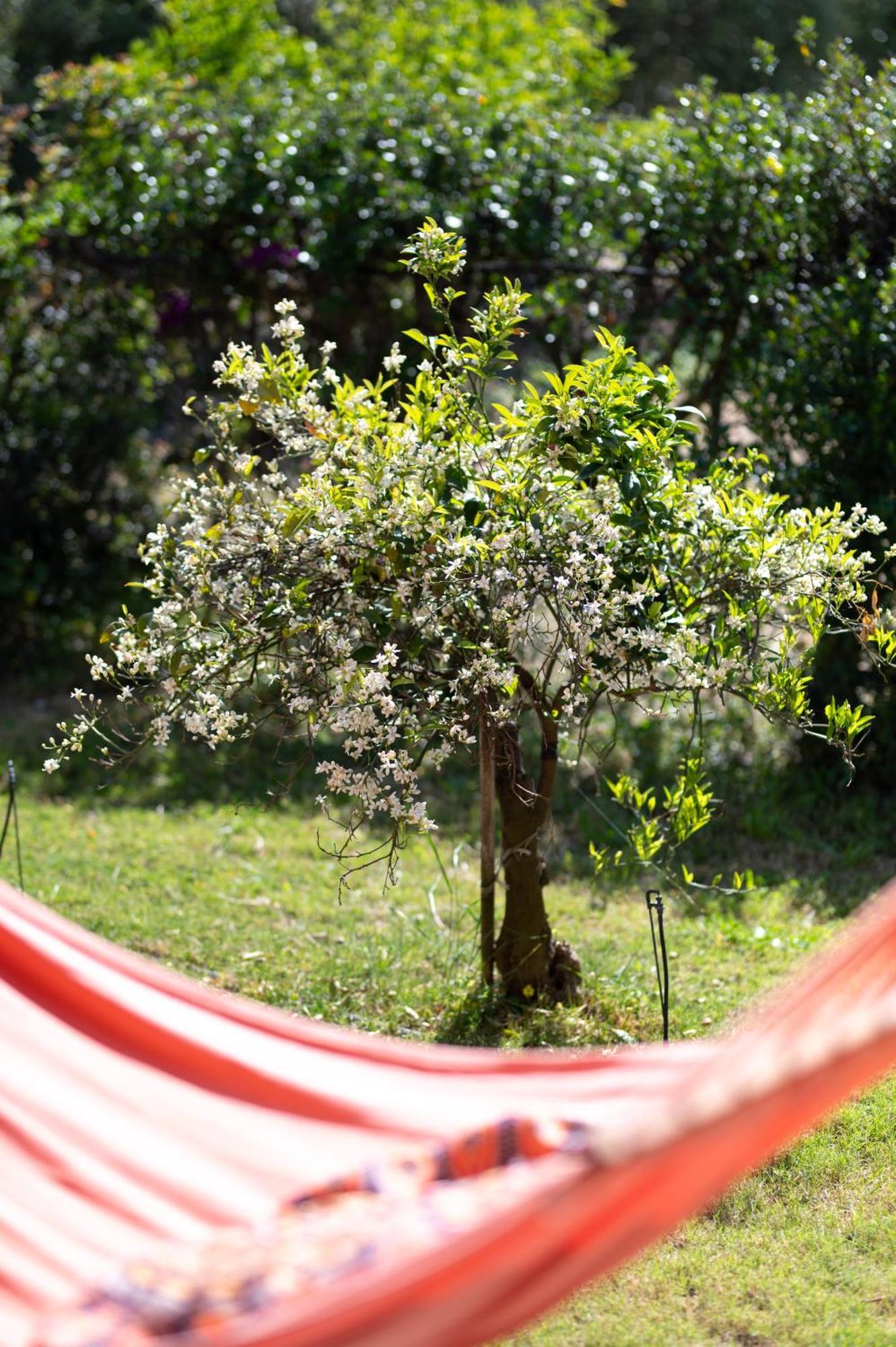 Resonance Experience - Tranquil Room Close To Beaches And Sacred Sites Sant Isidoro  Exterior foto